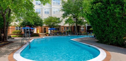 The Morgan Apartment Homes in North Bethesda, MD - Building Photo - Building Photo