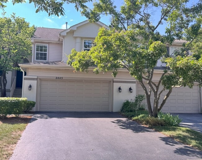 2445 Palazzo Dr in Buffalo Grove, IL - Building Photo - Building Photo