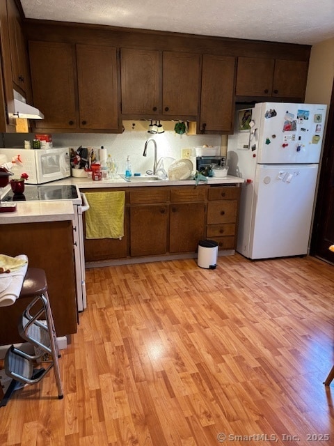 185 Newell Ave in Bristol, CT - Building Photo - Building Photo