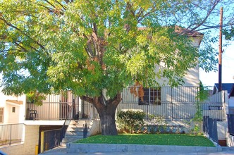 1169 Raymond Ave in Glendale, CA - Building Photo - Building Photo