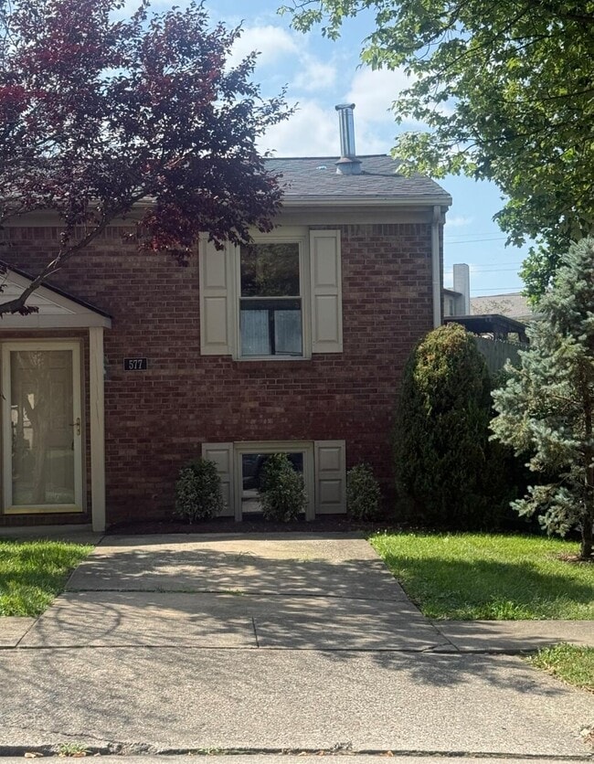 property at 577 El Paseo Pl