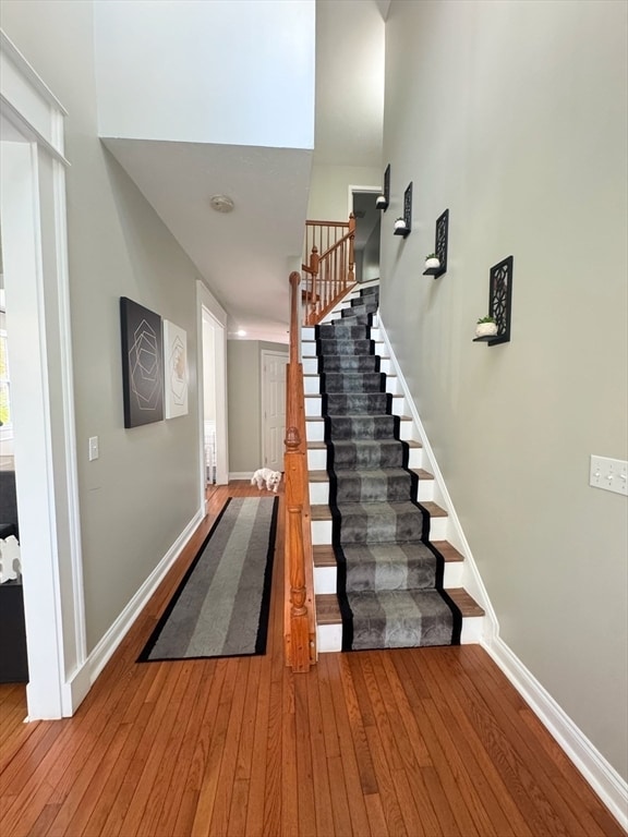 6 Candlewood Ln in Southborough, MA - Building Photo - Building Photo