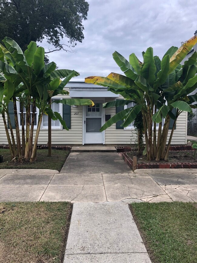 property at 207 Ellis St