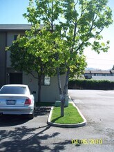 Oro Park Apartments in El Cajon, CA - Building Photo - Interior Photo