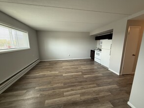 1128 Des Plaines Ave in Forest Park, IL - Building Photo - Building Photo