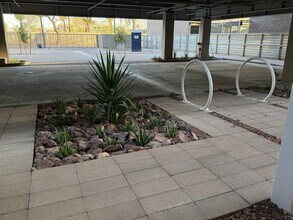 Willetta 15 in Phoenix, AZ - Foto de edificio - Interior Photo