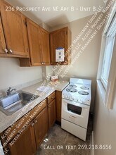 236 Prospect Ave NE in Grand Rapids, MI - Building Photo - Building Photo