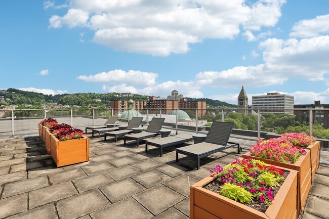 Park View Apartments