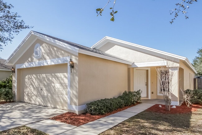 11210 Summer Star Dr in Riverview, FL - Building Photo - Building Photo
