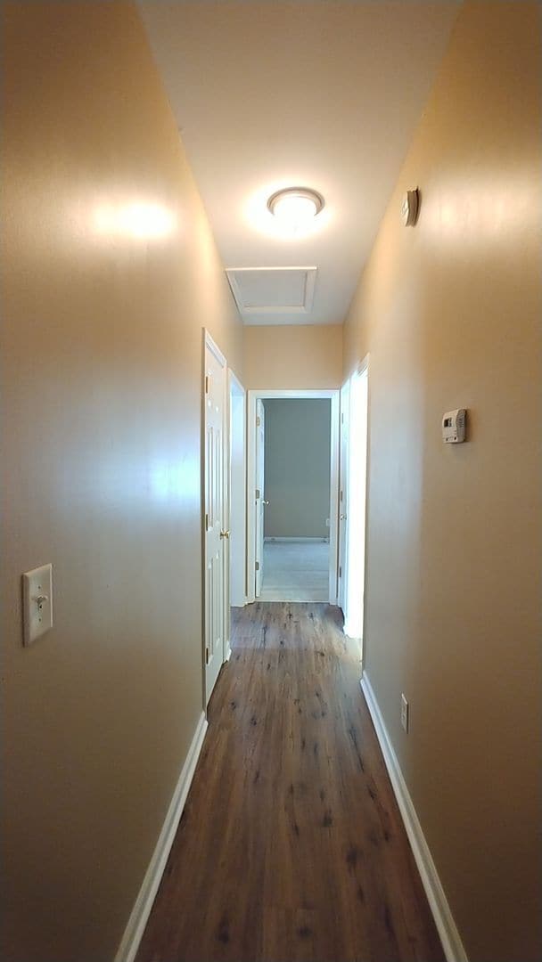 1243 Stoneridge Ln in Rocky Mount, NC - Building Photo - Building Photo