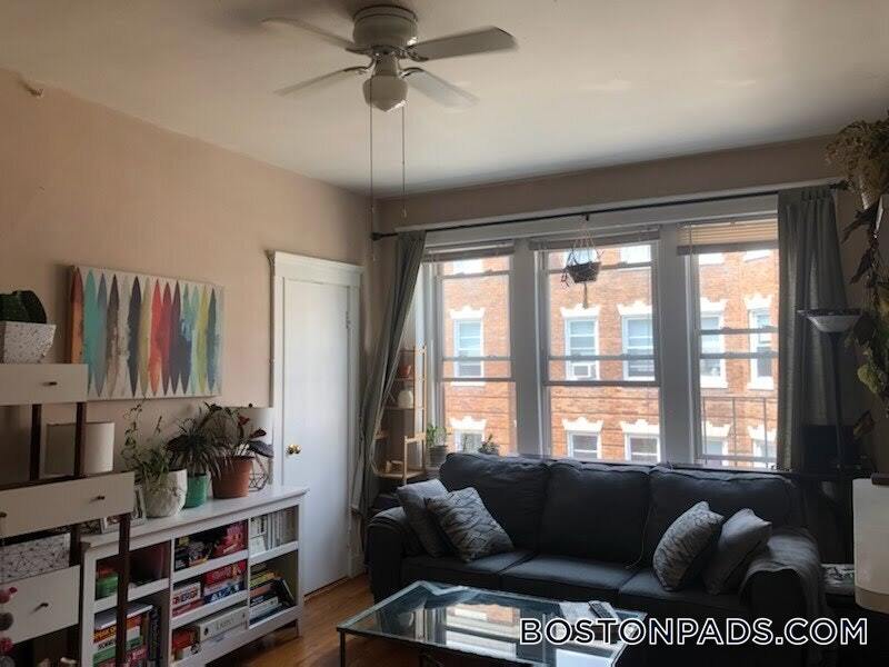 229 Kelton St in Boston, MA - Building Photo