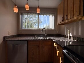 42 Fenwood Rd in Worcester, MA - Building Photo - Building Photo