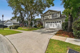 17737 Esprit Dr in Tampa, FL - Building Photo - Building Photo