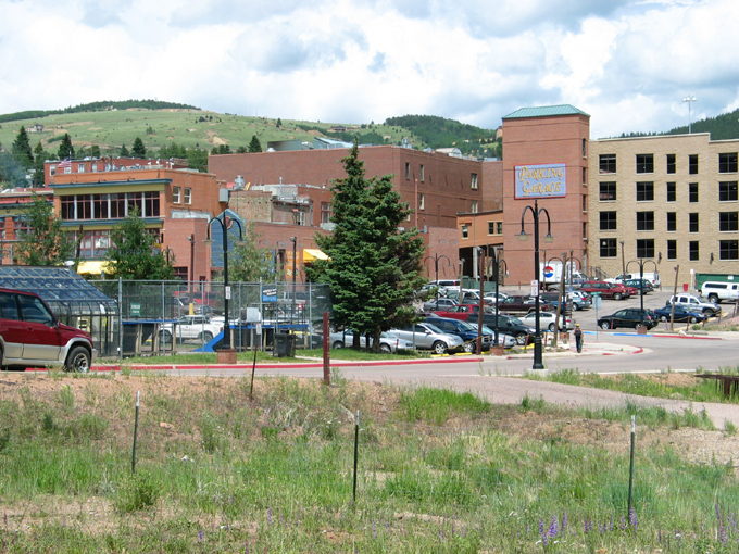 1150 Chiricahua Loop in Colorado Springs, CO - Building Photo