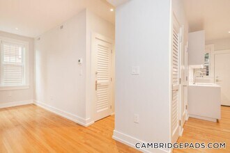 17 Forest St, Unit 03 in Cambridge, MA - Building Photo - Building Photo