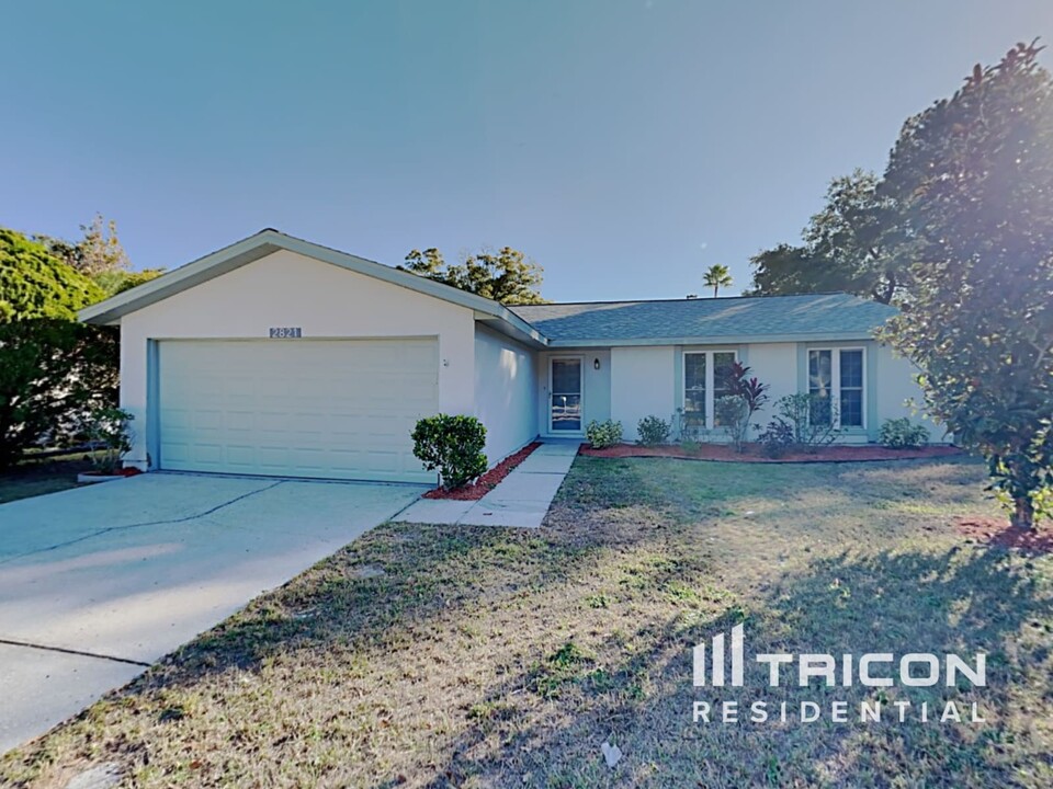 2821 Honey Bear Ct in Palm Harbor, FL - Building Photo