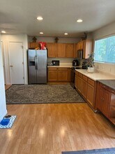 1745 Elk Springs St in Loveland, CO - Building Photo - Building Photo