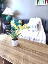 285 Powell Adams Rd in Panama City Beach, FL - Building Photo - Building Photo