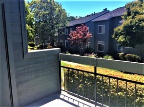 8150 Mountain View Dr in Pleasanton, CA - Building Photo - Building Photo