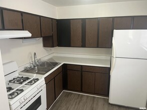 227 W Elm St in Chillicothe, IL - Building Photo - Building Photo