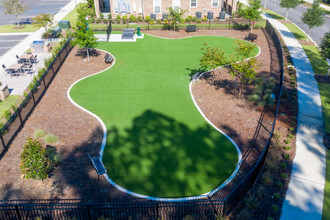 The Grove at Carolina Park Apartments in Mount Pleasant, SC - Building Photo - Building Photo