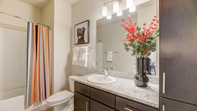 Springs at Stadium Village in Surprise, AZ - Foto de edificio - Building Photo