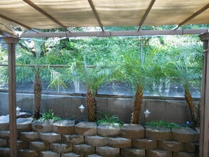 25032 Terrace Lantern, Unit 1 in Dana Point, CA - Building Photo - Building Photo