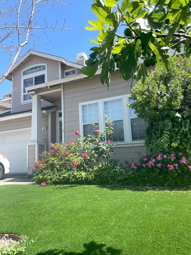 property at 236 Bayberry Common
