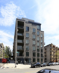 17 Convent Ave in New York, NY - Building Photo - Building Photo