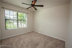 property at 10811 Firebush Cir