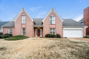 8742 Raspberry Ln in Memphis, TN - Building Photo
