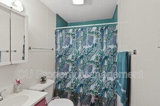 704 S Vine St in Urbana, IL - Building Photo - Building Photo