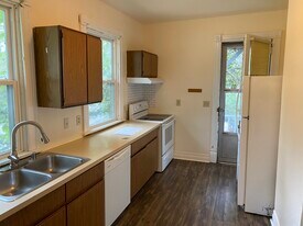 1051 E Johnson St, Unit 1 in Madison, WI - Building Photo