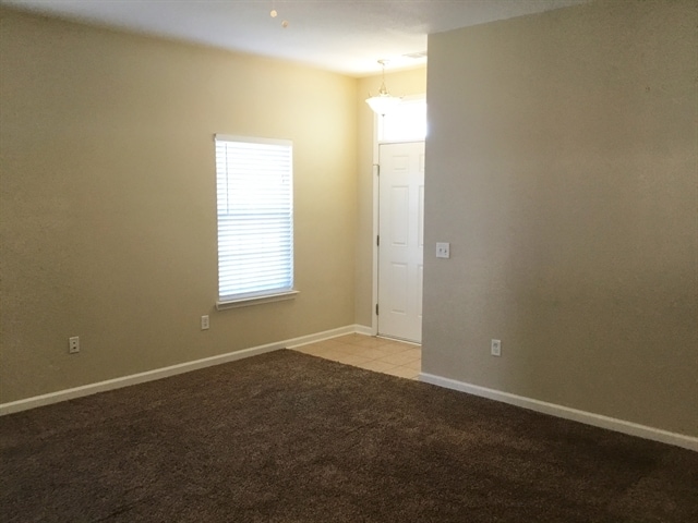 10 Blue Oak Dr in Richmond Hill, GA - Building Photo - Building Photo