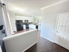 11641 Declaration Dr in Tampa, FL - Building Photo - Building Photo