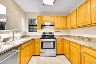 31719 Rocky Village Dr in Evergreen, CO - Building Photo - Building Photo