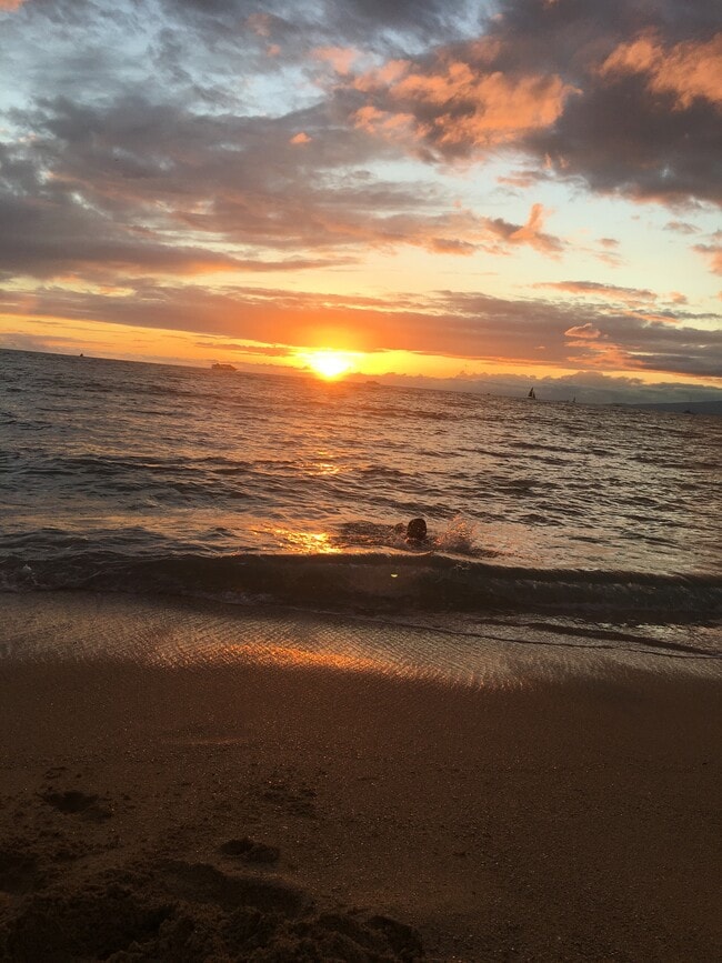 7403 N Ocean Blvd in Myrtle Beach, SC - Foto de edificio - Building Photo