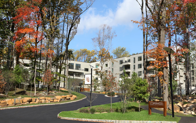 Copperwood in Princeton in Princeton, NJ - Foto de edificio - Building Photo