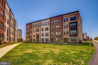 43468 Danville Ter in Ashburn, VA - Building Photo - Building Photo