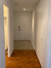 260 E Chestnut St in Chicago, IL - Building Photo - Building Photo