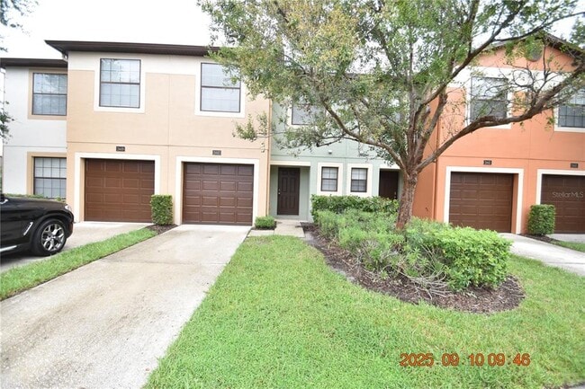 2447 Hibiscus Bay Ln in Brandon, FL - Building Photo - Building Photo