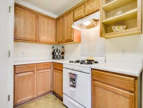 203 Fistral Dr in Hutto, TX - Building Photo - Building Photo