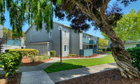 Creekside in San Mateo, CA - Foto de edificio - Building Photo