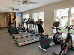 Stratford House Apartments in Houston, TX - Foto de edificio - Building Photo