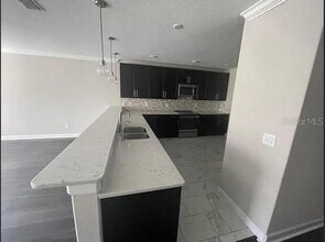 1542 W Lemon St in Tampa, FL - Building Photo - Building Photo