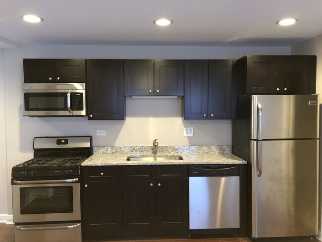 1742 W 18th St in Chicago, IL - Building Photo - Building Photo