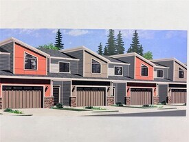 1007 Agua Escondida Ct in Springtown, TX - Building Photo