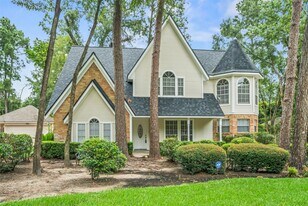 135 Towering Pines Dr in Spring, TX - Building Photo