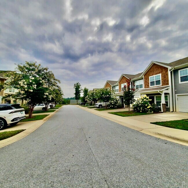 1025 Baldwin Commons Dr in Arden, NC - Building Photo - Building Photo