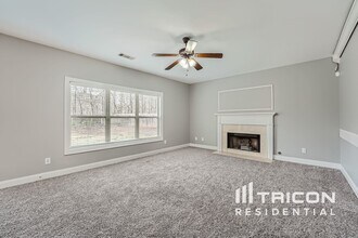 294 Sweetwater Bridge Cir in Douglasville, GA - Building Photo - Building Photo